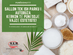 Sallon tek ish parku i autobuza krkon t punsoj vajz estetiste 1